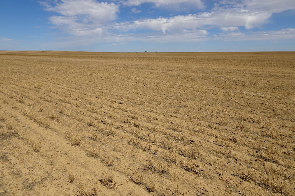 3397 Bendering Road, Kondinin, WA, 6367 - Image 23