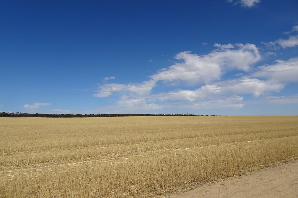 3397 Bendering Road, Kondinin, WA, 6367 - Image 25