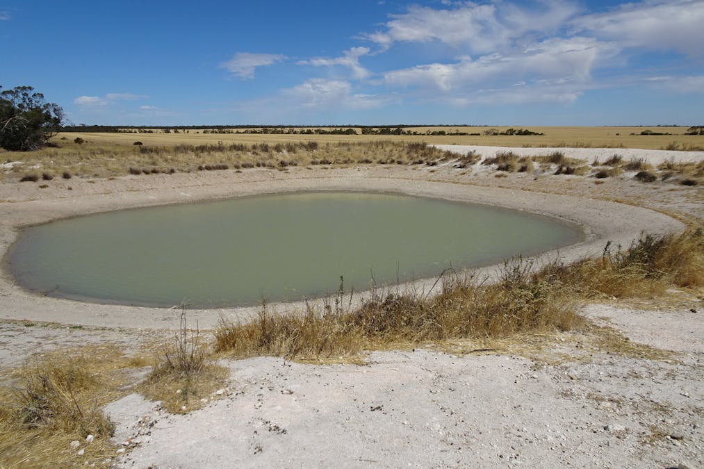 3397 Bendering Road, Kondinin, WA, 6367 - Image 26