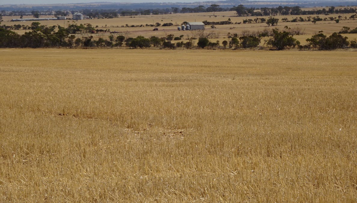 3397 Bendering Road, Kondinin, WA, 6367 - Image 27