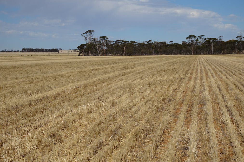 3397 Bendering Road, Kondinin, WA, 6367 - Image 30