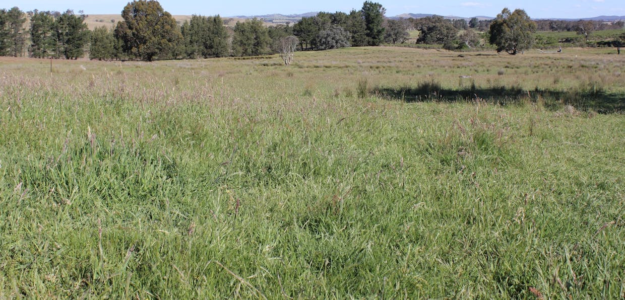 48 & 98/413 Flacknell Creek Road, Gunning, NSW, 2581 - Image 5