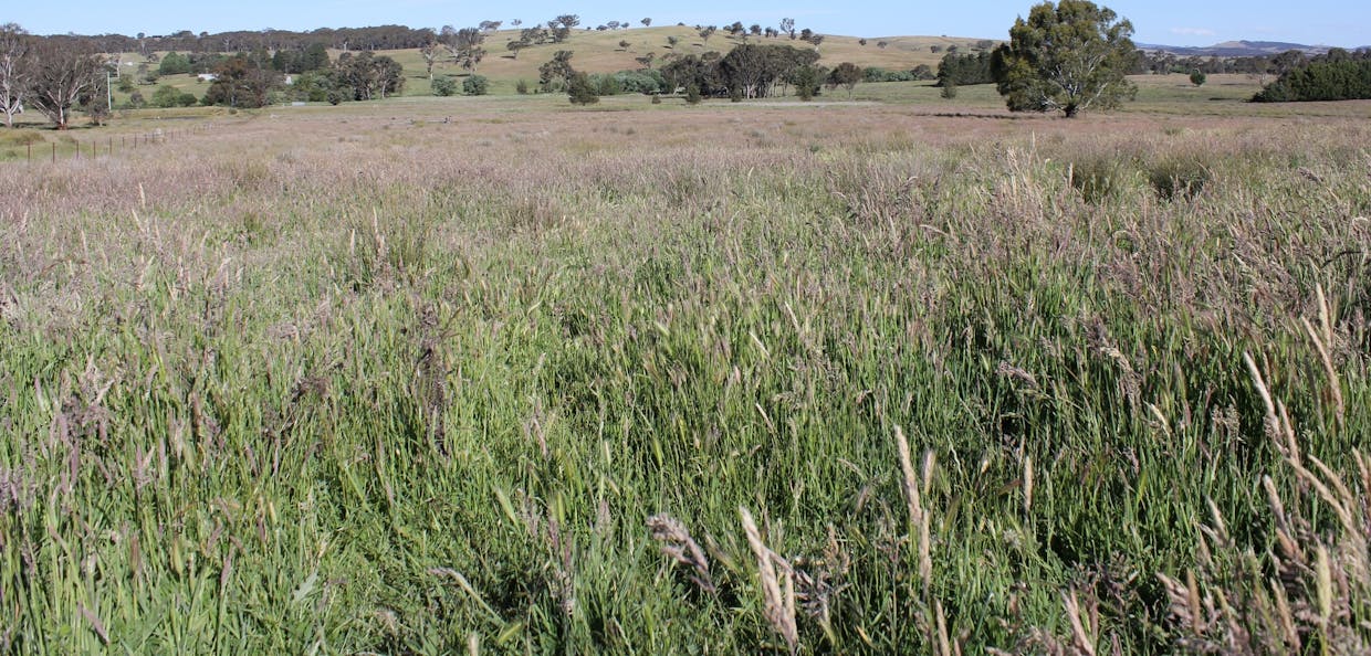 48 & 98/413 Flacknell Creek Road, Gunning, NSW, 2581 - Image 13