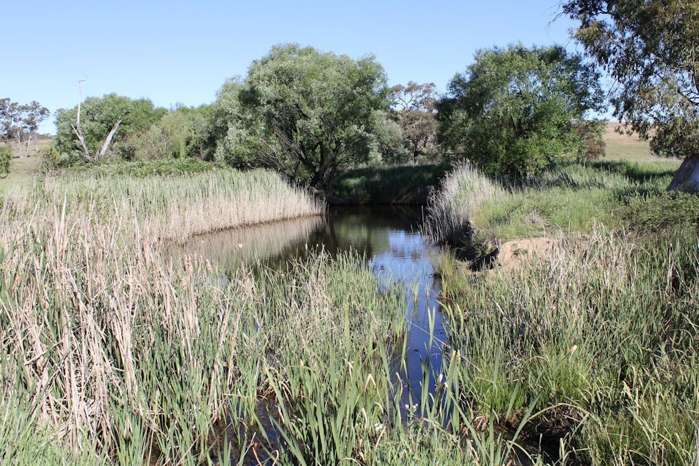 48 & 98/413 Flacknell Creek Road, Gunning, NSW, 2581 - Image 1