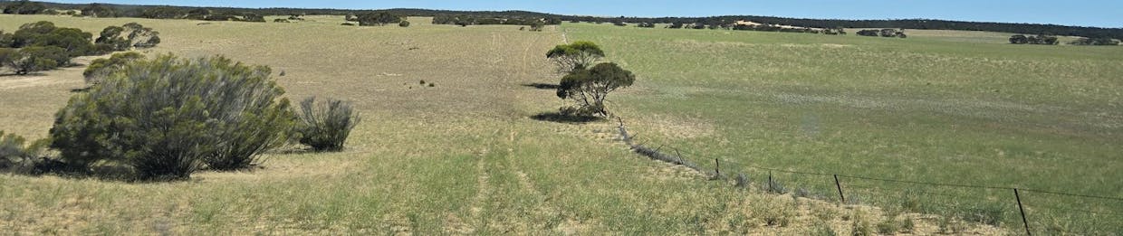 Lot 23 Billiatt Road, Lameroo, SA, 5302 - Image 12