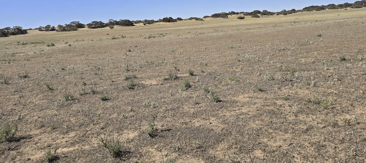 Lot 23 Billiatt Road, Lameroo, SA, 5302 - Image 3