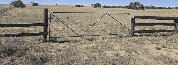 Lot 23 Billiatt Road, Lameroo, SA, 5302 - Image 1