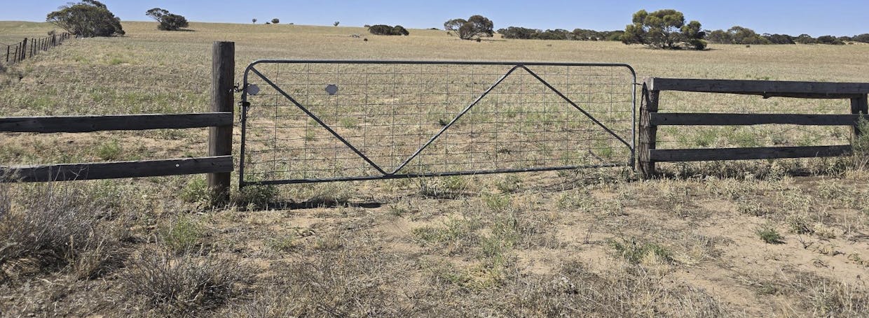 Lot 23 Billiatt Road, Lameroo, SA, 5302 - Image 1