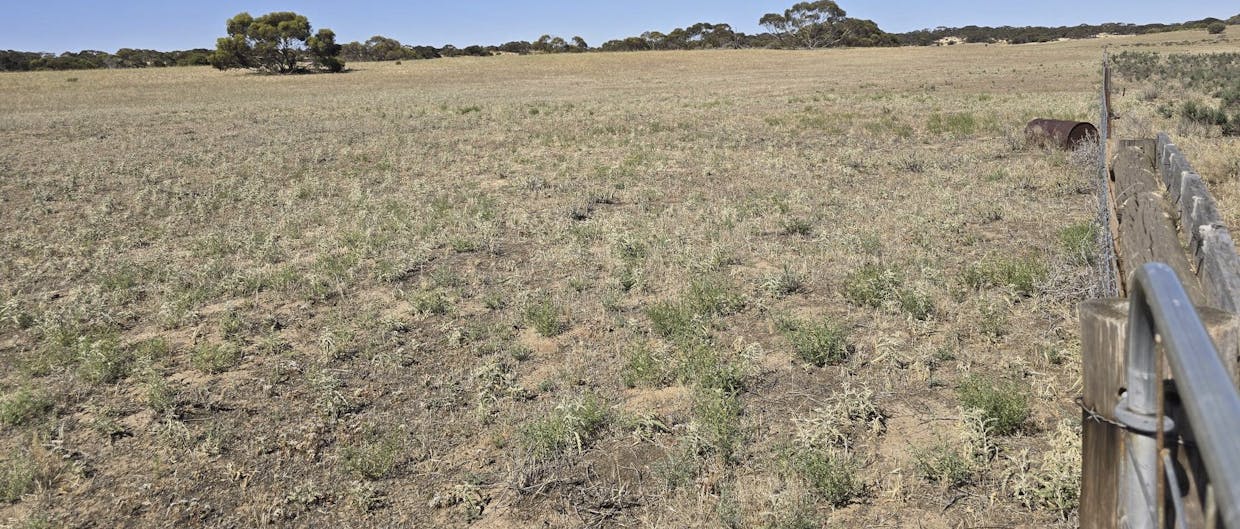 Lot 23 Billiatt Road, Lameroo, SA, 5302 - Image 11