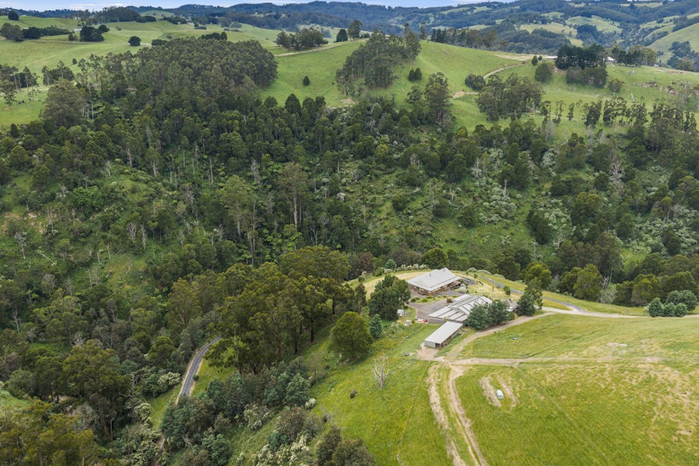 350 Wild Dog Road, Strzelecki, VIC, 3950 - Image 1
