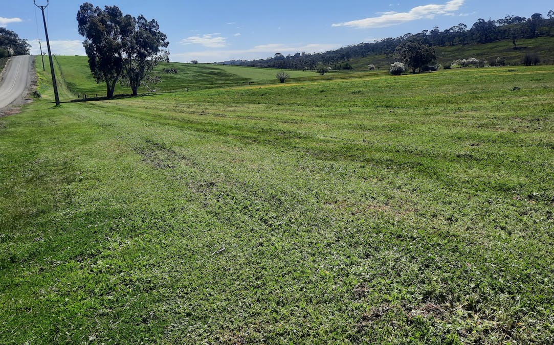 285 Neagles Rock Road, Clare, SA, 5453 - Image 12