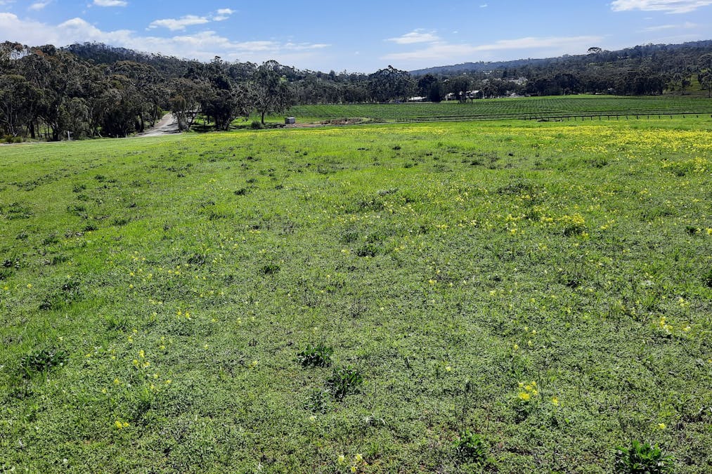 285 Neagles Rock Road, Clare, SA, 5453 - Image 13