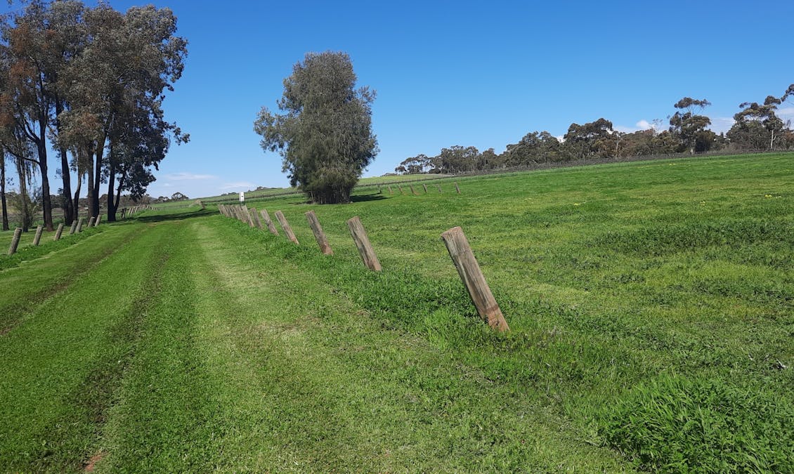 285 Neagles Rock Road, Clare, SA, 5453 - Image 15