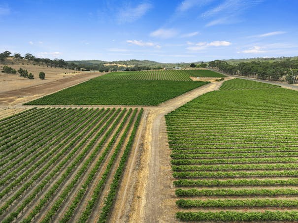 285 Neagles Rock Road, Clare, SA, 5453 - Image 1