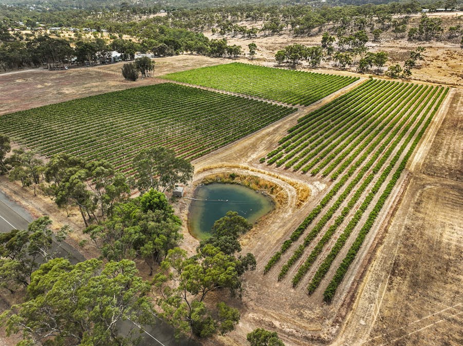 285 Neagles Rock Road, Clare, SA, 5453 - Image 3