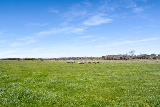 701 Nora Creina Road, Robe, SA, 5276 - Image 1