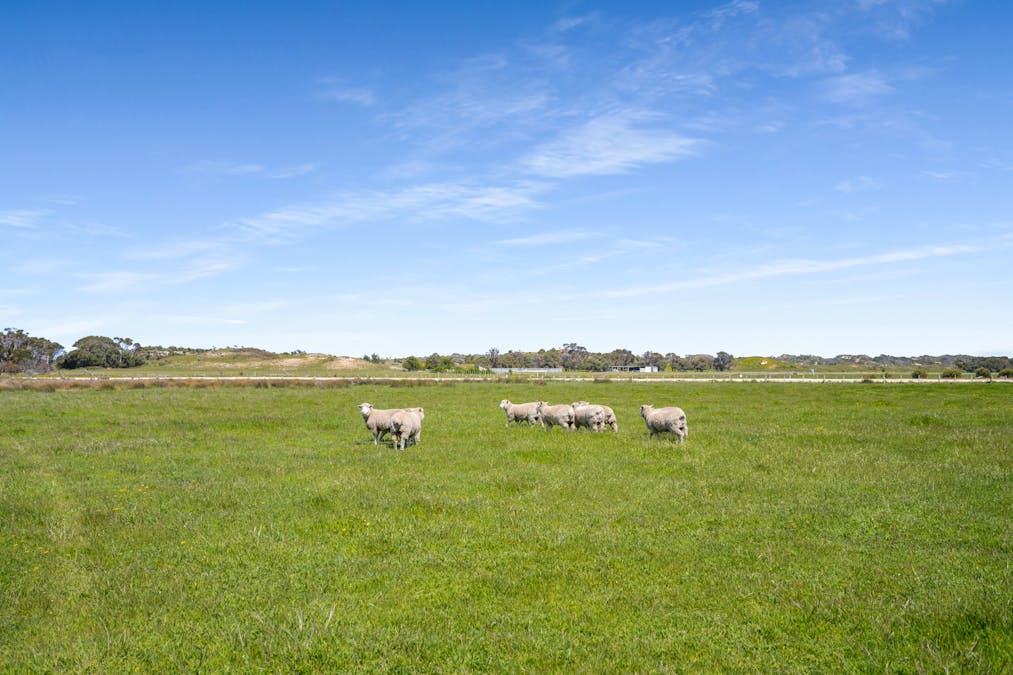 701 Nora Creina Road, Robe, SA, 5276 - Image 4