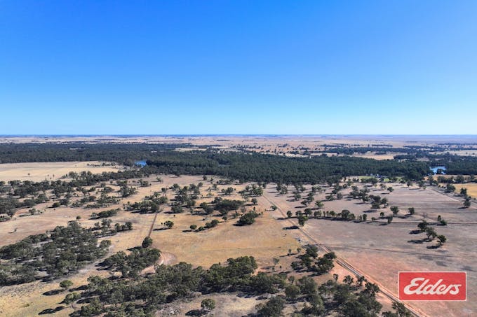 1/Perricoota Forest Road, Moama, NSW, 2731 - Image 1