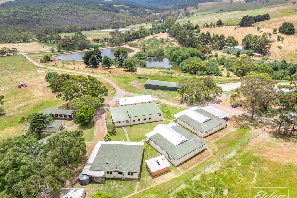 831 Blackfellows Creek Road, Kuitpo Colony, SA, 5172 - Image 10