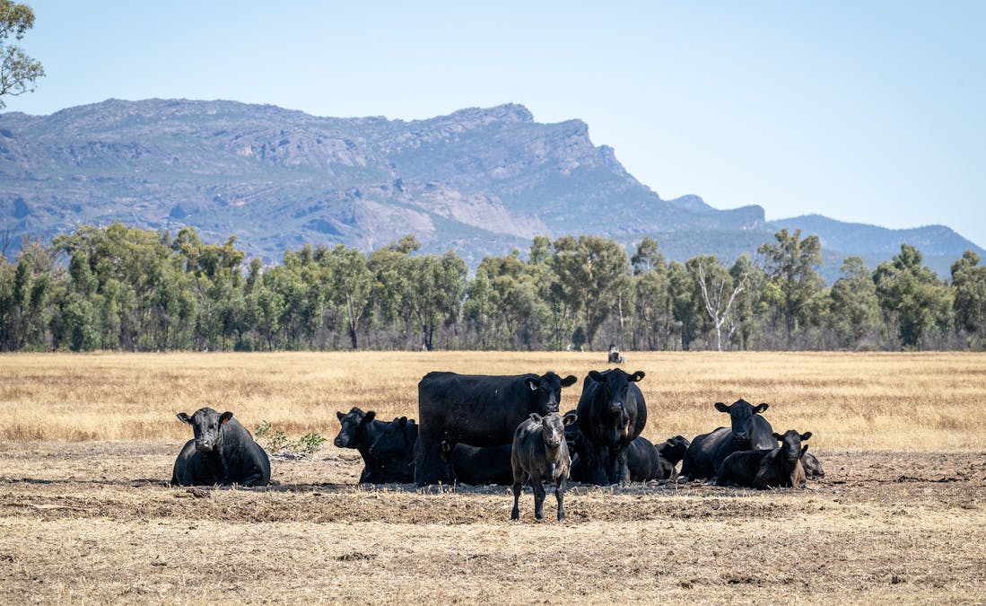 Golton South Road, Dadswells Bridge, VIC, 3385 - Image 11