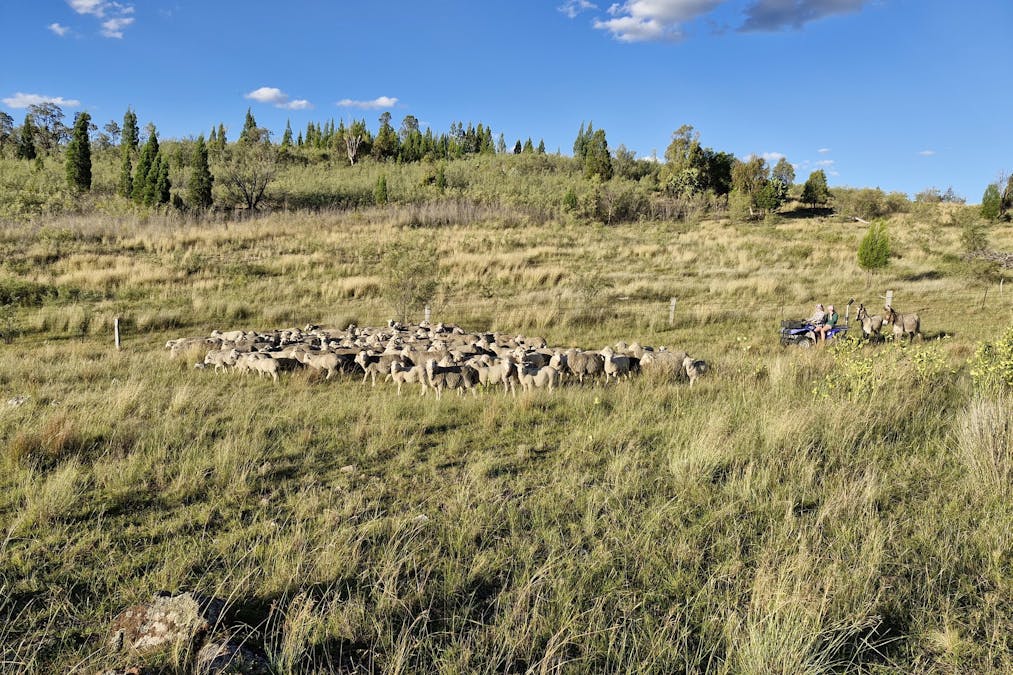 60 Windorah Road, Inverell, NSW, 2360 - Image 24