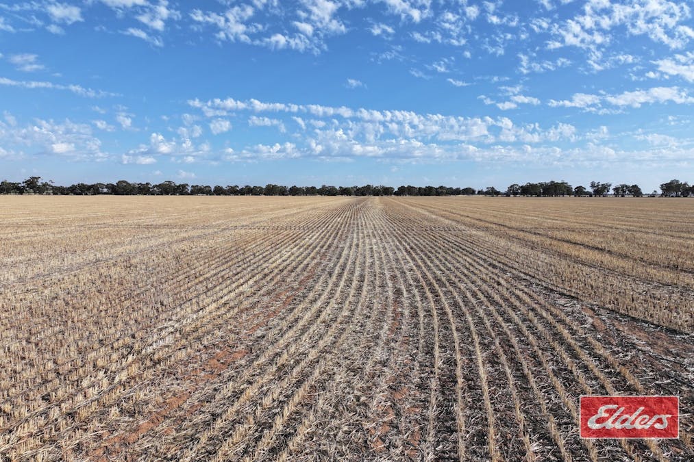 Lot 73 &74 Ham Road, Moama, NSW, 2731 - Image 4