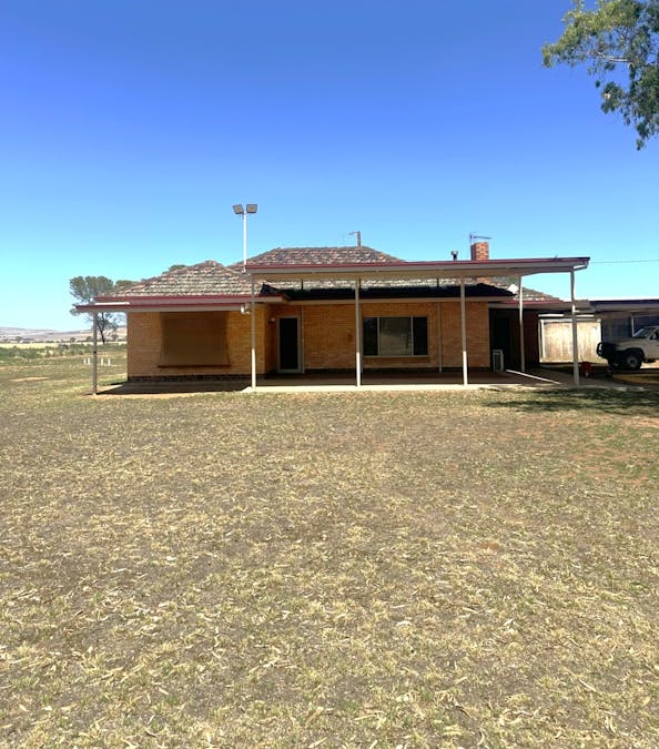 184 LRS Road, Koolunga, SA, 5464 - Image 1