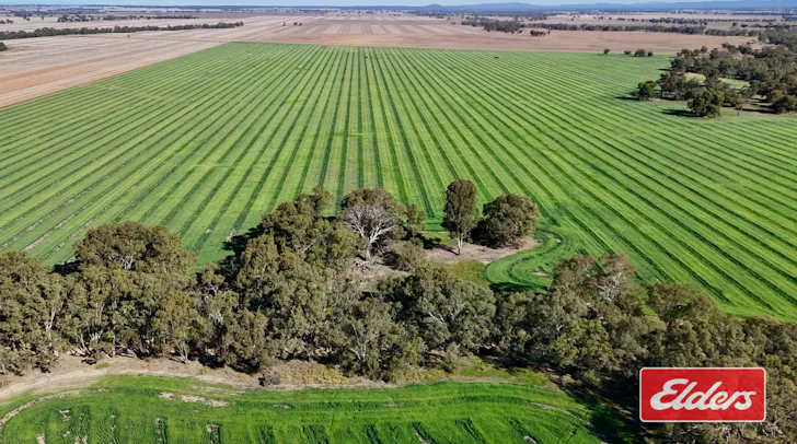 Loddon West Road, Fiery Flat, VIC, 3518 - Image 1