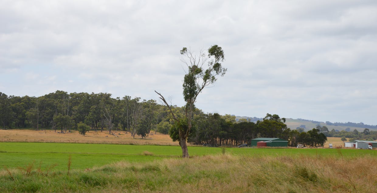 147 Outtrim - Inverloch Road, Outtrim, VIC, 3951 - Image 10