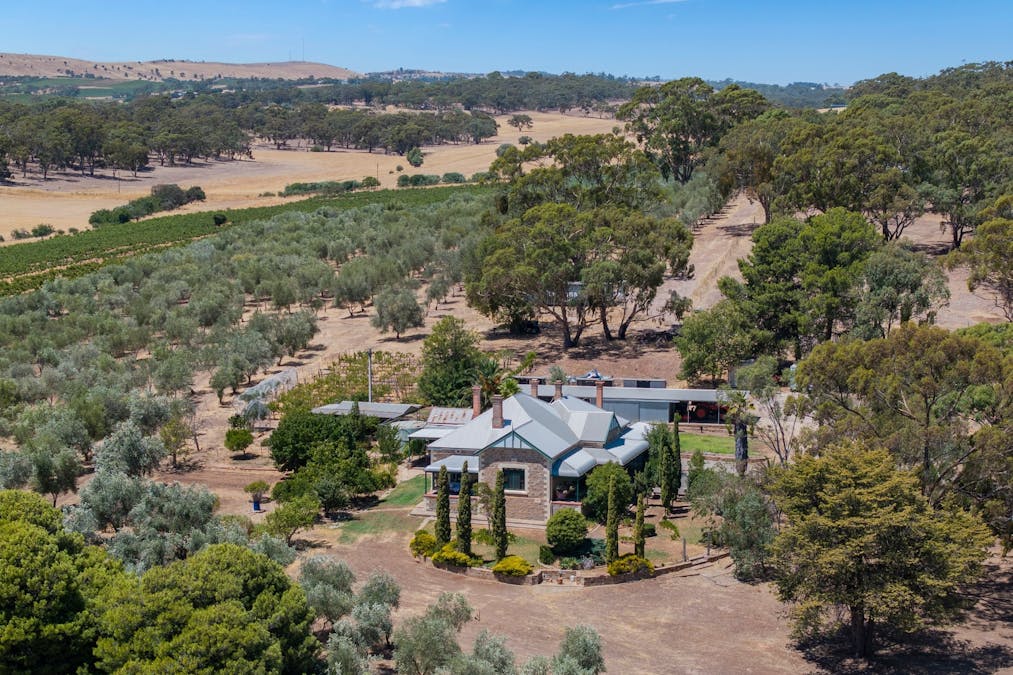 134 Farrell Flat Road, Clare, SA, 5453 - Image 34
