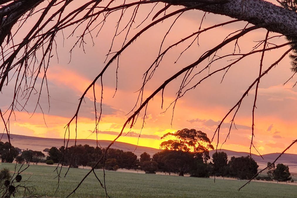 340 Tohls Road, Booborowie, SA, 5417 - Image 28