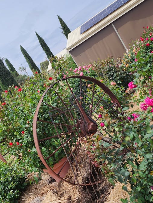 340 Tohls Road, Booborowie, SA, 5417 - Image 24