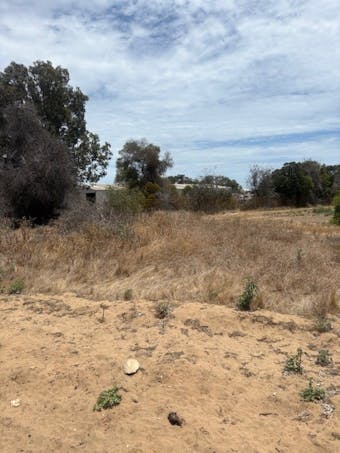 125 Alexander Drive, Glenfield, WA, 6532 - Image 1