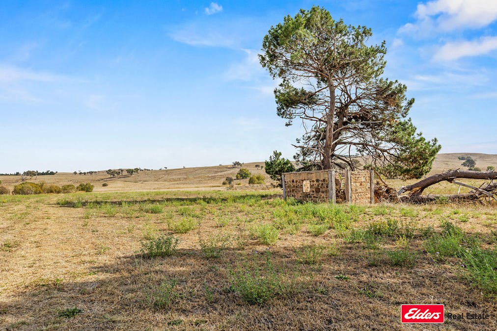 1381 Jerrawa Road, Gunning, NSW, 2581 - Image 26