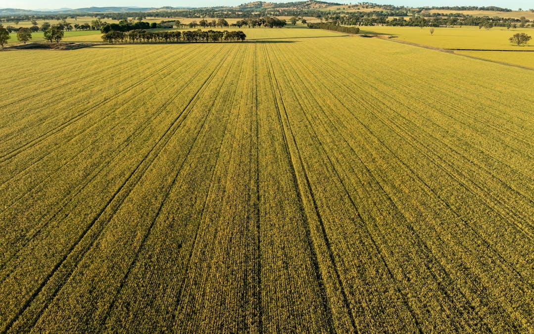 158 Bethel Road, Burrumbuttock, NSW, 2642 - Image 3