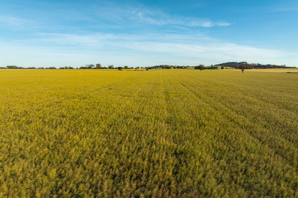 158 Bethel Road, Burrumbuttock, NSW, 2642 - Image 5