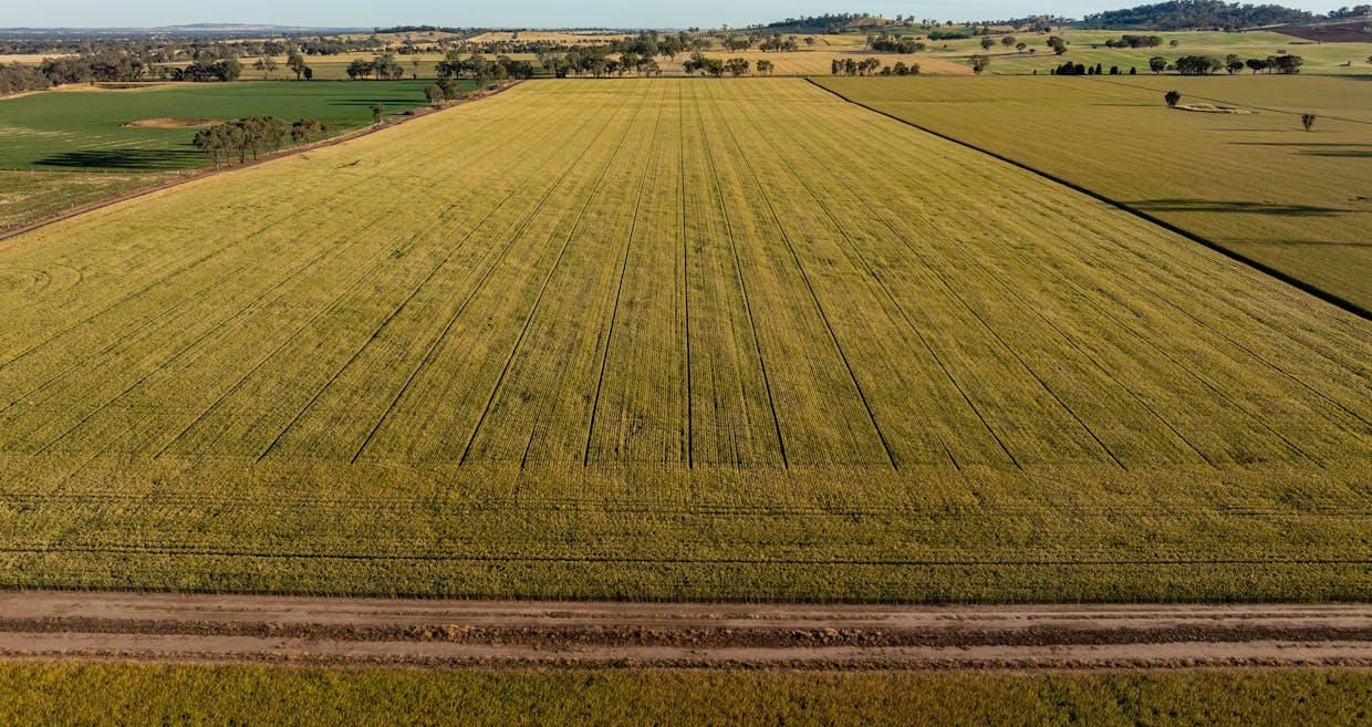 158 Bethel Road, Burrumbuttock, NSW, 2642 - Image 9