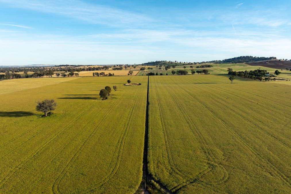 158 Bethel Road, Burrumbuttock, NSW, 2642 - Image 2