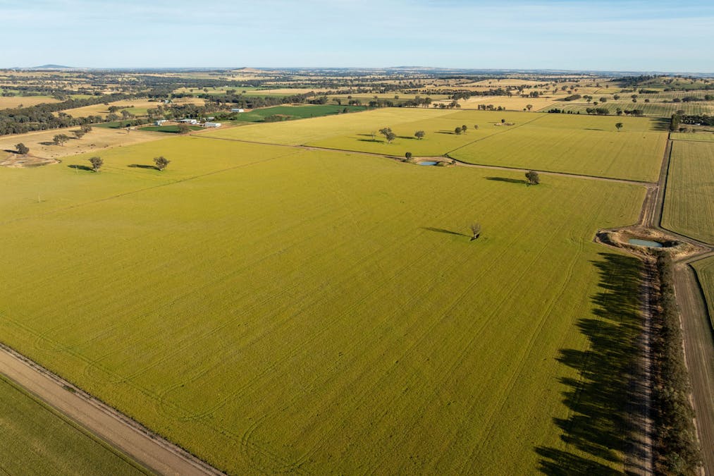 158 Bethel Road, Burrumbuttock, NSW, 2642 - Image 11