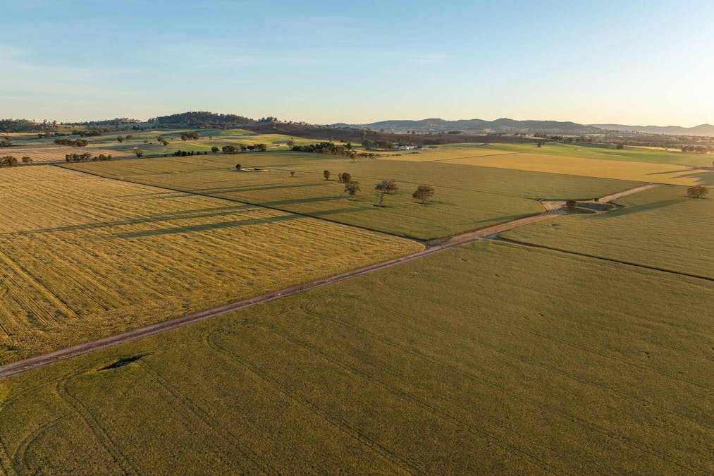 158 Bethel Road, Burrumbuttock, NSW, 2642 - Image 15