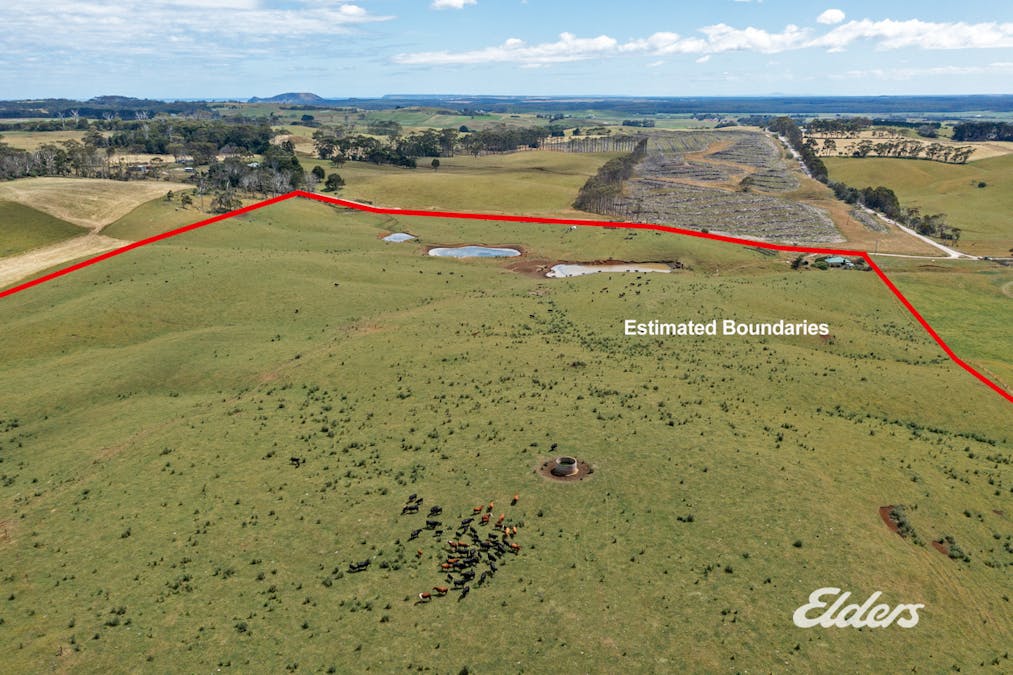 7 Erics Road, Redpa, TAS, 7330 - Image 4