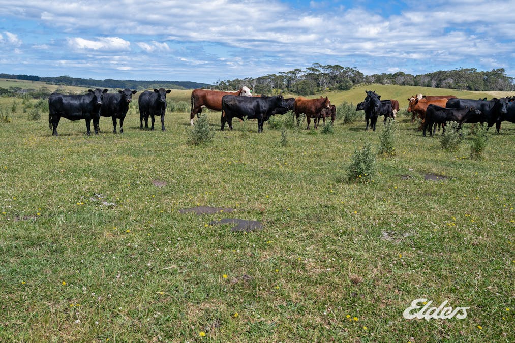 7 Erics Road, Redpa, TAS, 7330 - Image 7