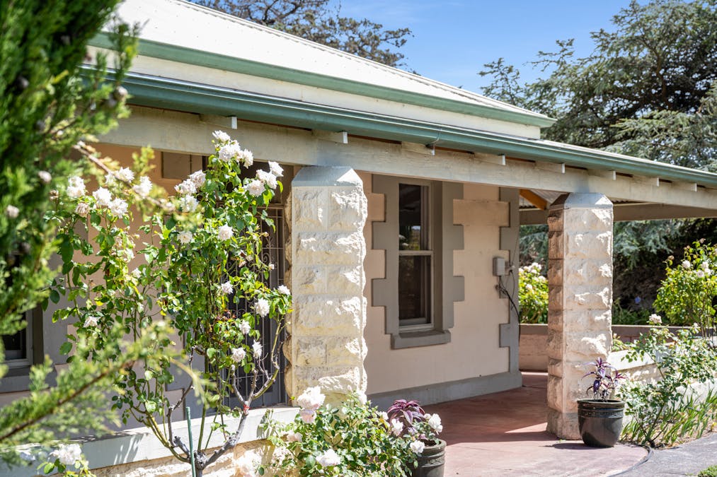 22036 Riddoch Highway, Mount Schank, SA, 5291 - Image 27