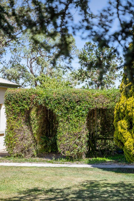 22036 Riddoch Highway, Mount Schank, SA, 5291 - Image 17