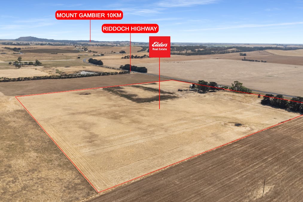 22036 Riddoch Highway, Mount Schank, SA, 5291 - Image 20