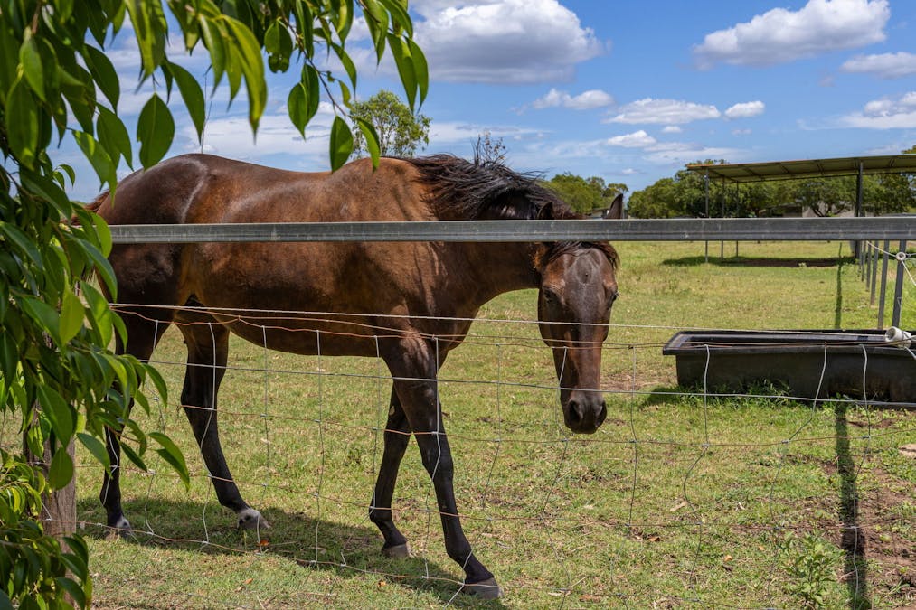 85 Mount Tarampa Road, Mount Tarampa, QLD, 4311 - Image 14