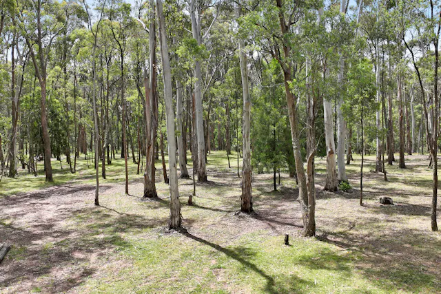 245 Tolmie-Mahaikah Road — photo from Elders Real Estate Mansfield