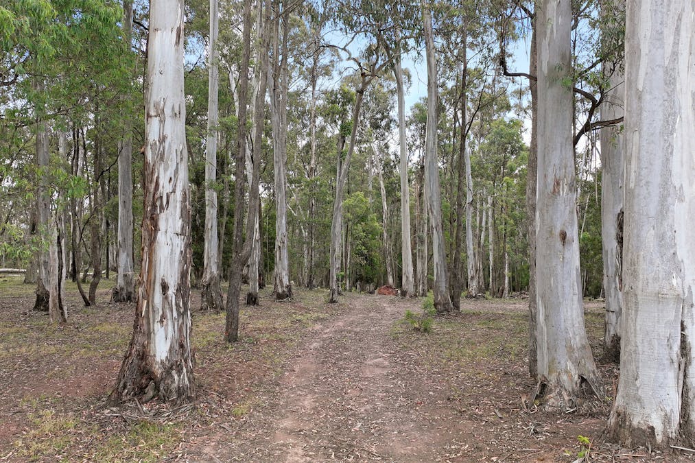 245 Tolmie-Mahaikah Road, Tolmie, VIC, 3723 - Image 6