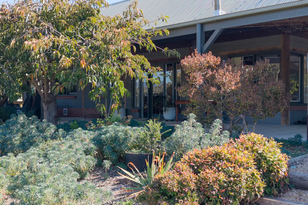 14 Campagnolos Road, Mansfield, VIC, 3722 - Image 2