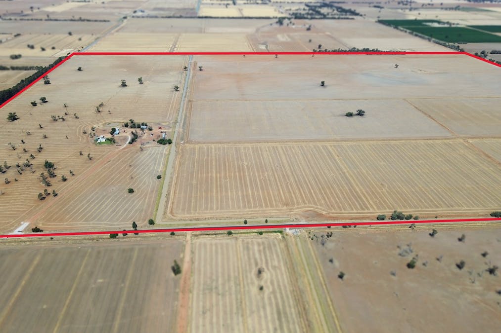 528 Lakers Road, Blighty, NSW, 2713 - Image 18